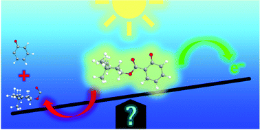 Graphical abstract: Photostability of the deprotonated forms of the UV filters homosalate and octyl salicylate: molecular dissociation versus electron detachment following UV excitation