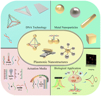 Graphical abstract: DNA-mediated dynamic plasmonic nanostructures: assembly, actuation, optical properties, and biological applications