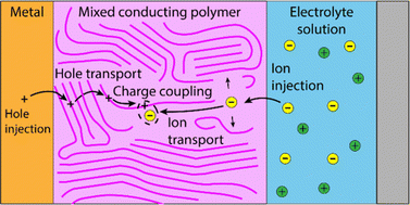 Graphical abstract: Exploiting mixed conducting polymers in organic and bioelectronic devices