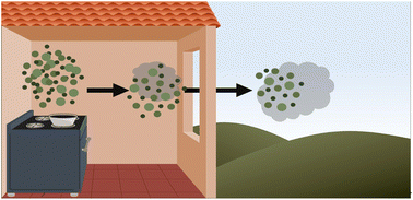 Graphical abstract: From the HOMEChem frying pan to the outdoor atmosphere: chemical composition, volatility distributions and fate of cooking aerosol