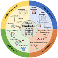 Graphical abstract: Digital microfluidics for biological analysis and applications