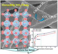 Graphical abstract: Some interesting insights into the acetone sensing characteristics of monoclinic WO3