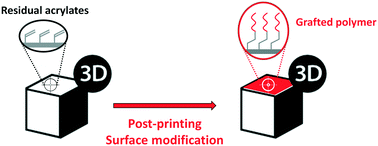 Graphical abstract: Changing the surface properties with a “click”: functionalization of DLP-printed structures exploiting residual acrylate functions