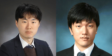 Graphical abstract: Nanoscale Horizons Emerging Investigator Series: Dr Sukjoon Hong and Dr Joonmyung Choi, Hanyang University, South Korea