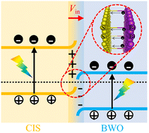 Graphical abstract: Interfacial Bi–S bonds modulate band alignment for efficient solar water oxidation