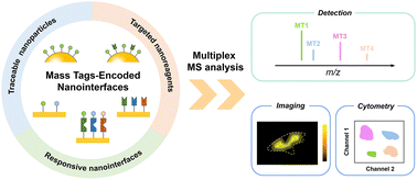Graphical abstract: Mass tag-encoded nanointerfaces for multiplexed mass spectrometric analysis and imaging of biomolecules