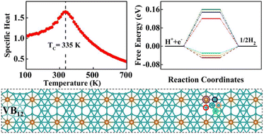 Graphical abstract: TMB12: a newly designed 2D transition-metal boride for spintronics and electrochemical catalyst applications