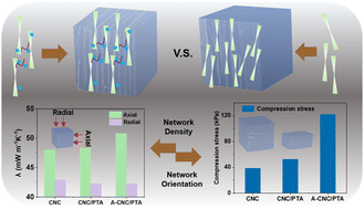 Graphical abstract: Metal oxide cluster-assisted assembly of anisotropic cellulose nanocrystal aerogels for balanced mechanical and thermal insulation properties