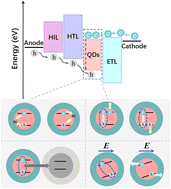 Graphical abstract: Improving the performance of quantum dot light-emitting diodes by tailoring QD emitters