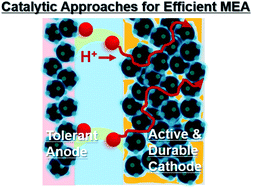 Graphical abstract: Catalytic approaches towards highly durable proton exchange membrane fuel cells with minimized Pt use