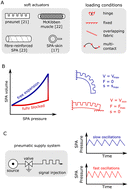 Graphical abstract: Sensorless force and displacement estimation in soft actuators