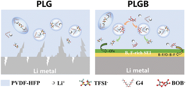 Graphical abstract: Solvate ionic liquid-derived solid polymer electrolyte with lithium bis(oxalato) borate as a functional additive for solid-state lithium metal batteries