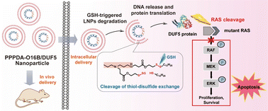 Graphical abstract: Intracellular delivery of bacterial effectors for cancer therapy using biodegradable lipid nanoparticles