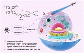 Graphical abstract: An AIE-based monofunctional Pt(ii) complex for photodynamic therapy through synergism of necroptosis–ferroptosis