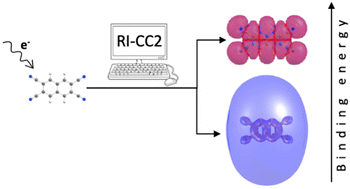 Graphical abstract: On the performance of second-order approximate coupled-cluster singles and doubles methods for non-valence anions