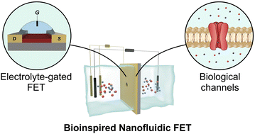 Graphical abstract: Advances in nanofluidic field-effect transistors: external voltage-controlled solid-state nanochannels for stimulus-responsive ion transport and beyond