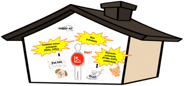 Graphical abstract: Occurrence of emerging contaminants in pet hair and indoor air: integrative health risk assessment using multiple ToxCast endpoints