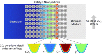 Graphical abstract: Pathways to enhance electrochemical CO2 reduction identified through direct pore-level modeling