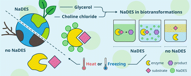 Graphical abstract: Natural deep eutectic solvents (NaDES): translating cell biology to processing