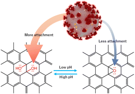 Graphical abstract: SARS-CoV-2 suppression depending on the pH of graphene oxide nanosheets