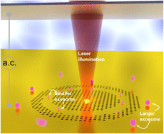 Graphical abstract: Exosomes trapping, manipulation and size-based separation using opto-thermo-electrohydrodynamic tweezers