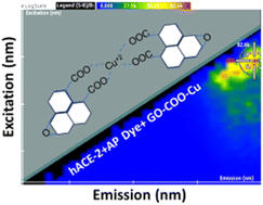 Graphical abstract: Synthetic graphene–copper nanocomposites interact with the hACE-2 enzyme and inhibit its biochemical activity