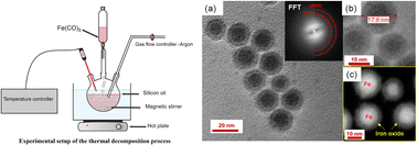 Graphical abstract: Surfactant-driven optimization of iron-based nanoparticle synthesis: a study on magnetic hyperthermia and endothelial cell uptake