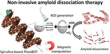 Graphical abstract: Magnetic PiezoBOTs: a microrobotic approach for targeted amyloid protein dissociation