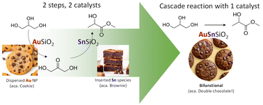 Graphical abstract: Bifunctional Au–Sn-SiO2 catalysts promote the direct upgrading of glycerol to methyl lactate