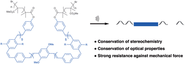 Graphical abstract: Mechanical stability of cis, trans-poly(p-phenylene vinylenes)