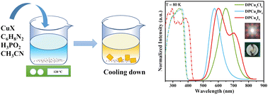 Graphical abstract: Photophysical studies for Cu(i)-based halides: broad excitation bands and highly efficient single-component warm white-light-emitting diodes