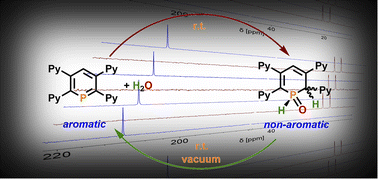 Graphical abstract: Highly selective, reversible water activation by P,N-cooperativity in pyridyl-functionalized phosphinines