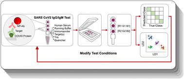 Graphical abstract: An approach to use machine learning to optimize paper immunoassays for SARS-CoV-2 IgG and IgM antibodies
