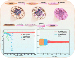 Graphical abstract: Biomass-derived two-dimensional N,O-doped carbon with embedded binary-metal nanoparticles enables dendrite-free potassium-metal anodes