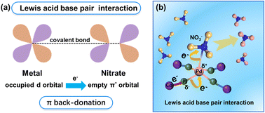 Graphical abstract: Enhancing the selective electrochemical conversion of nitrate via π back-donation on Lewis acid sites induced by noble-metal doped CoP