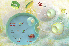 Graphical abstract: Enzyme/inorganic nanoparticle dual-loaded animal protein/plant protein composite nanospheres and their synergistic effect in cancer therapy