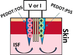 Graphical abstract: PEDOT coated microneedles towards electrochemically assisted skin sampling