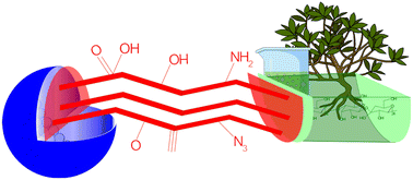 Graphical abstract: Lignocellulosic–biomolecules conjugated systems: green-engineered complexes modified by covalent linkers