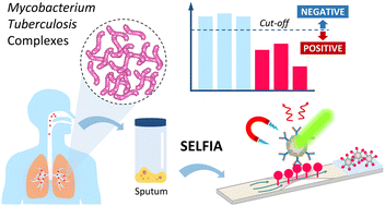 Graphical abstract: Fluorescent nanodiamond immunosensors for clinical diagnostics of tuberculosis