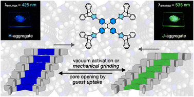 Graphical abstract: A hydrogen-bonded organic framework of rigidly branched fluorophore: guest-adaptive cavity and phase-dependent light emission