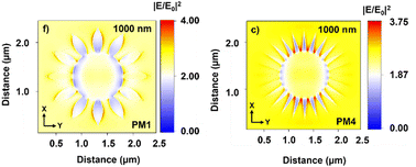 Graphical abstract: The impact of dendrite morphology on the optical properties of sunflower mimic plasmonic metasurfaces