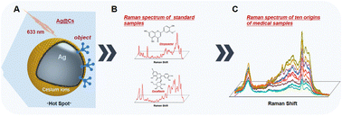 Graphical abstract: A new method for rapid identification of traditional Chinese medicine based on a new silver sol: using the SERS spectrum for quality control of flavonoids and flavonoid glycosides in Potentilla discolor Bge.
