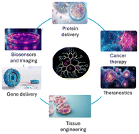 Graphical abstract: Structurally programmable, functionally tuneable dendrimers in biomedical applications