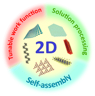 Graphical abstract: Atomically thin 2D materials for solution-processable emerging photovoltaics