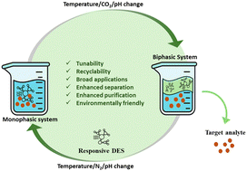 Graphical abstract: Responsive deep eutectic solvents: mechanisms, applications and their role in sustainable chemistry