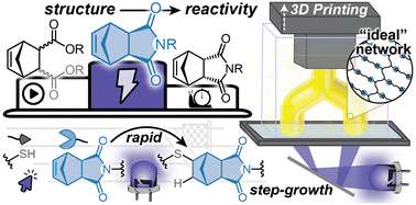 Graphical abstract: Relating norbornene composition-to-reactivity for thiol–ene photopolymerizations and 3D printing