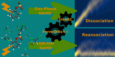 Graphical abstract: Simulation of the non-adiabatic dynamics of an enone-Lewis acid complex in an explicit solvent