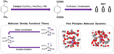 Graphical abstract: First principles investigation of manganese catalyst structure and coordination in the p-xylene oxidation process