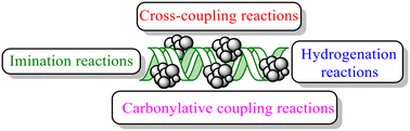 Graphical abstract: The effect of the DNA support on Pd/DNA catalyzed organic transformations