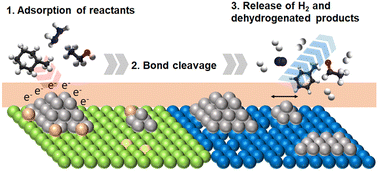 Graphical abstract: Catalytic dehydrogenation for hydrogen production controlled by metal-supported heterogeneous catalysts